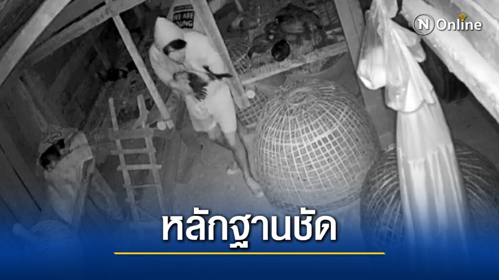 รวบ 2 โจรแสบย่องขโมยไก่ชนภาพวงจรปิดมัดแน่น