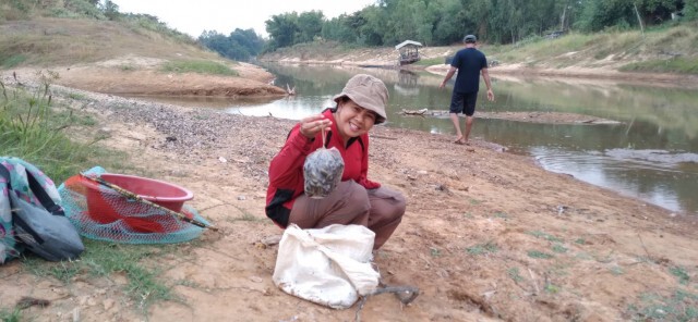 ลำปาวแล้งสุดรอบ20ปีชาวบ้านพลิกวิกฤติงมหอยขายทำเงิน
