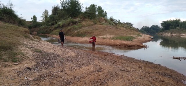 ลำปาวแล้งสุดรอบ20ปีชาวบ้านพลิกวิกฤติงมหอยขายทำเงิน
