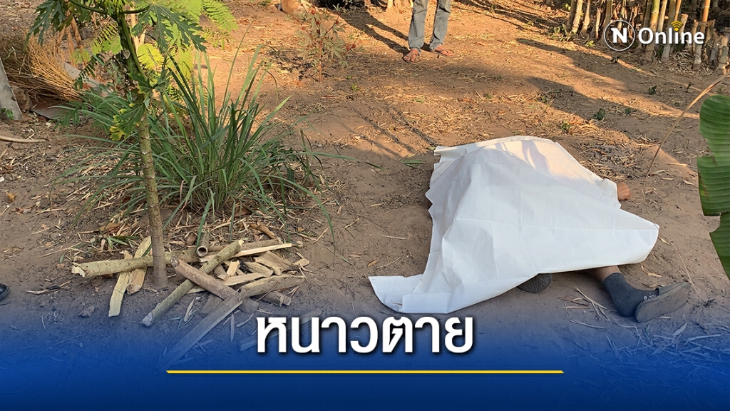 อากาศเย็นชายวัย65ปี นอนเฝ้าสวนหนาวตาย อากาศเย็นชายวัย65ปี นอนเฝ้าสวนหนาวตาย