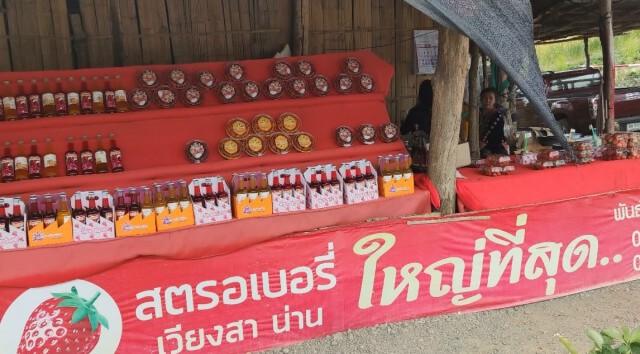 พิษโควิด-เจ้าไร่สตรอเบอร์รี่ร้องรัฐช่วยเหลือ