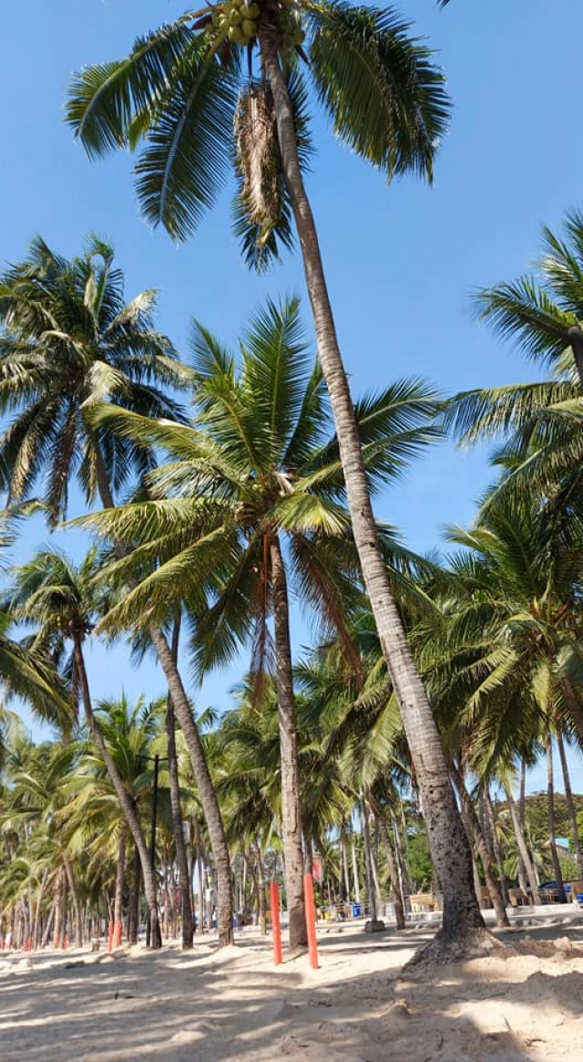 ส่องความสวยงาม "หาดบางแสน" ในวันไร้นักท่องเที่ยว หลังชลบุรีถูกยกระดับเป็นสีน้ำตาลเข้ม