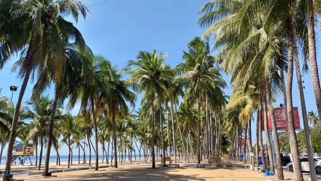 ส่องความสวยงาม "หาดบางแสน" ในวันไร้นักท่องเที่ยว หลังชลบุรีถูกยกระดับเป็นสีน้ำตาลเข้ม