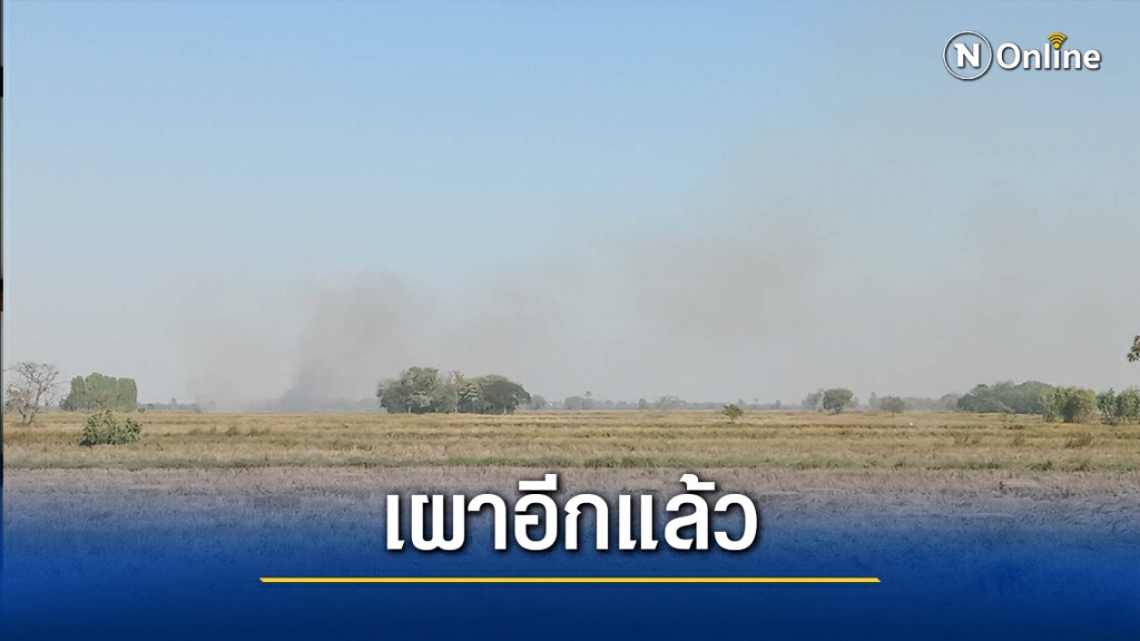 ชาวนาโคราชลักลอบเผาตอซังข้าวอีก ทำให้ค่าฝุ่น PM2.5 พุ่งสูง ชาวนาโคราชลักลอบเผาตอซังข้าวอีก ทำให้ค่าฝุ่น PM2.5 พุ่งสูง