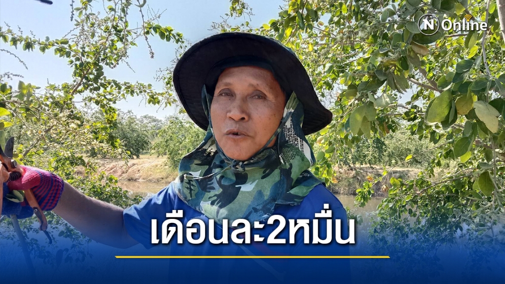 หนุ่มใหญ่โคราชเจอพิษโควิด หันมาตอนกิ่งมะขามเทศ ได้เดือนละ2หมื่น หนุ่มใหญ่โคราชเจอพิษโควิด หันมาตอนกิ่งมะขามเทศ ได้เดือนละ2หมื่น