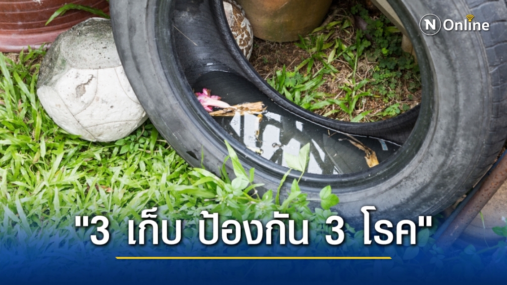 กรมควบคุมโรค ห่วงสุขภาพประชาชนในภาคใต้ หลังน้ำลดให้ระวังป่วยด้วยโรคไข้เลือดออก
