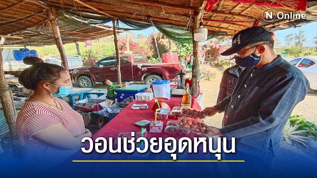 วอนช่วยอุดหนุน"สตรอเบอร์รี่"ชาวม้ง