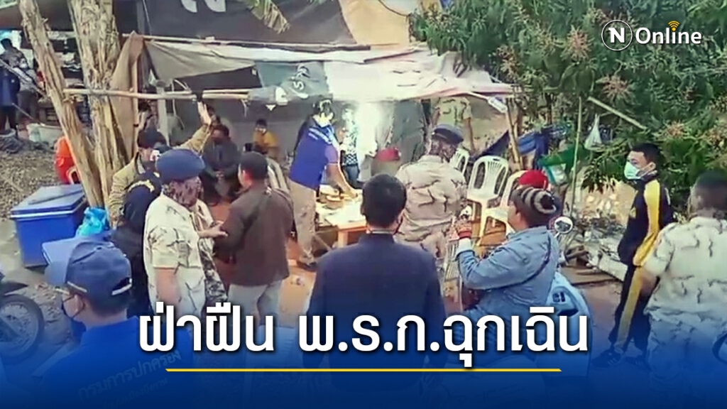 รวบนักพนันไฮโลแอบเล่นในสวนยาง