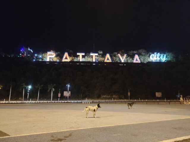เผยภาพ ค่ำคืน"เมืองพัทยา" ทั้งหนาว ทั้งเหงา ในวันเจอพิษ"โควิด"
