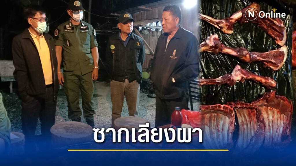 จนท.ยึดซากเลียงผาถูกชำแหละ เร่งขยายผลหาคนทำผิด