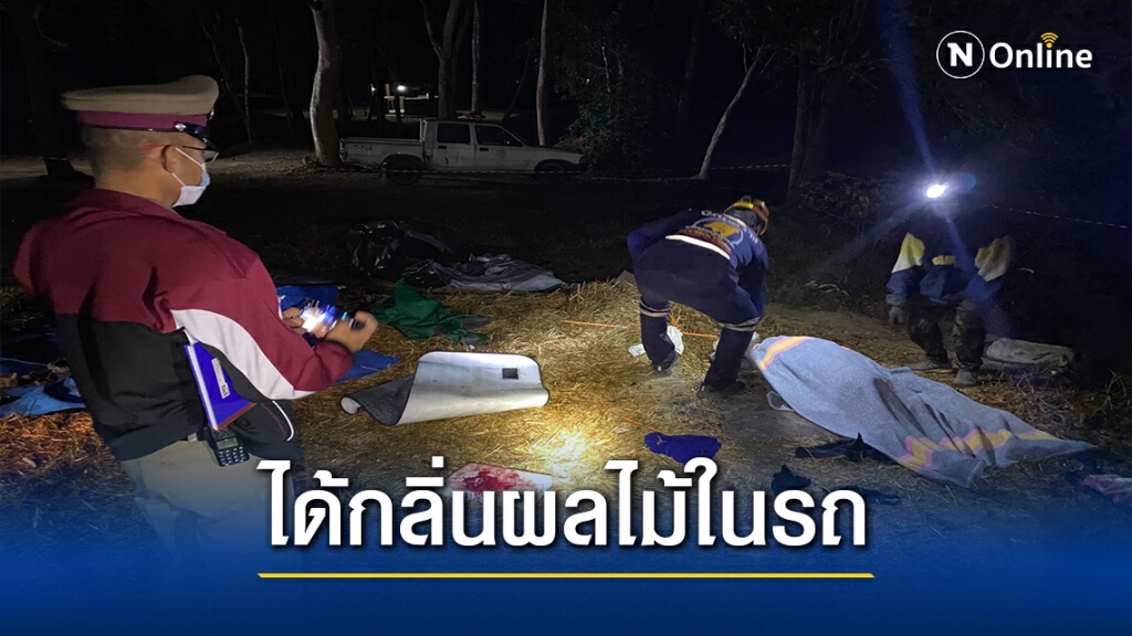 "พลายดื้อ"ตกมัน เหวี่ยงนทท.วัย80กระแทกต้นไม้ดับคาที่ คาดมาตามกลิ่นผลไม้ "พลายดื้อ"ตกมัน เหวี่ยงนทท.วัย80กระแทกต้นไม้ดับคาที่ คาดมาตามกลิ่นผลไม้