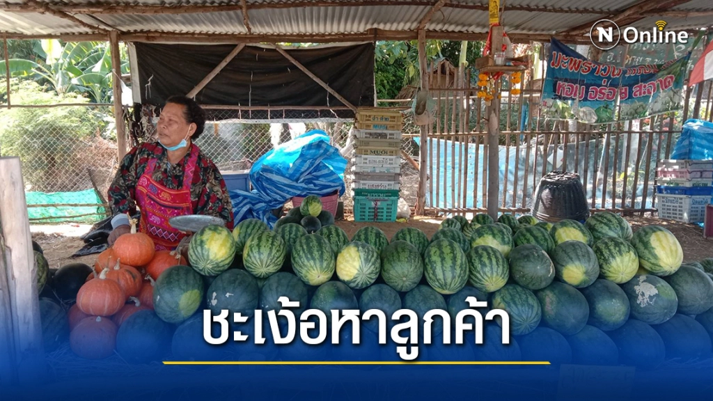 โควิดทำพิษ แม่ค้าแตงโมริมทางขายไม่ได้ คนส่วนใหญ่ไม่เดินทางผ่าน