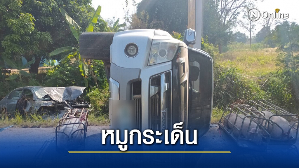 ชนสนั่น3คันซ้อนรถขนหมู อาการสาหัส3คนนำส่งรพ. ชนสนั่น3คันซ้อนรถขนหมู อาการสาหัส3คนนำส่งรพ.