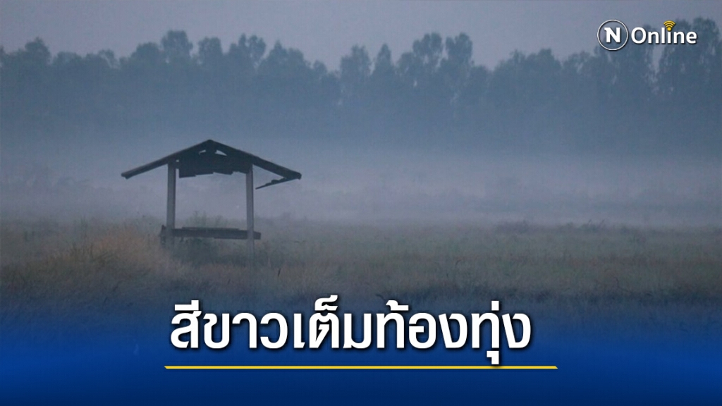 สวยงาม! "หมอกขาวเต็มท้องทุ่ง สวยงาม! "หมอกขาวเต็มท้องทุ่ง