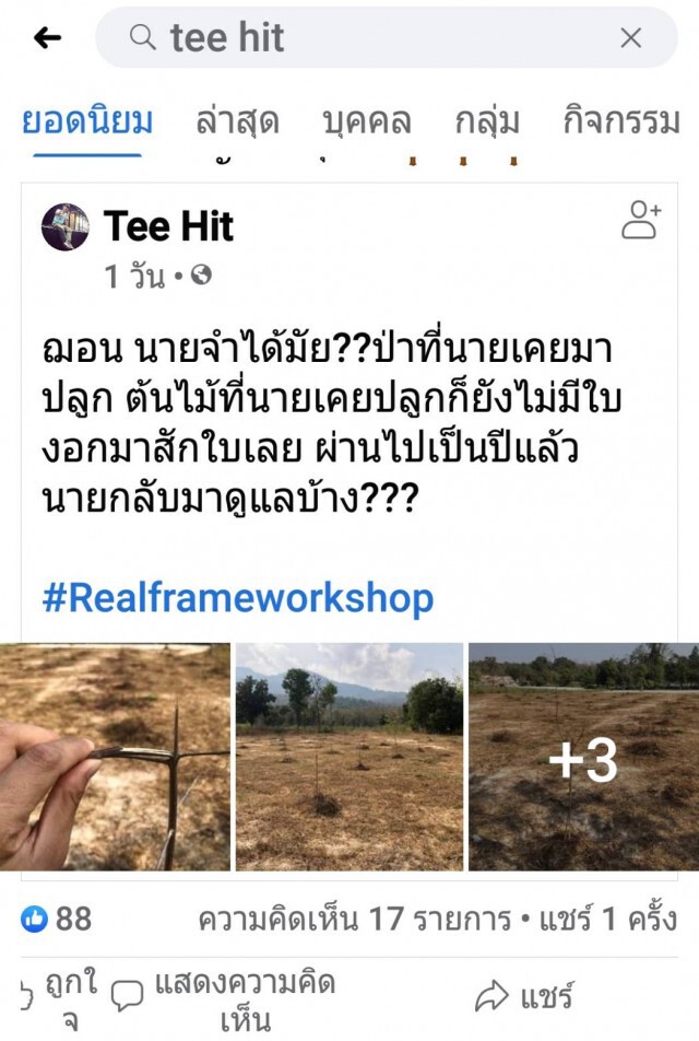 แจงต้นไม้"บิ๊กป้อม-ฌอน"แห้งเหี่ยว-แค่ผลัดใบ