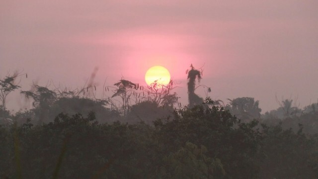สวยงาม! "หมอกขาวเต็มท้องทุ่ง