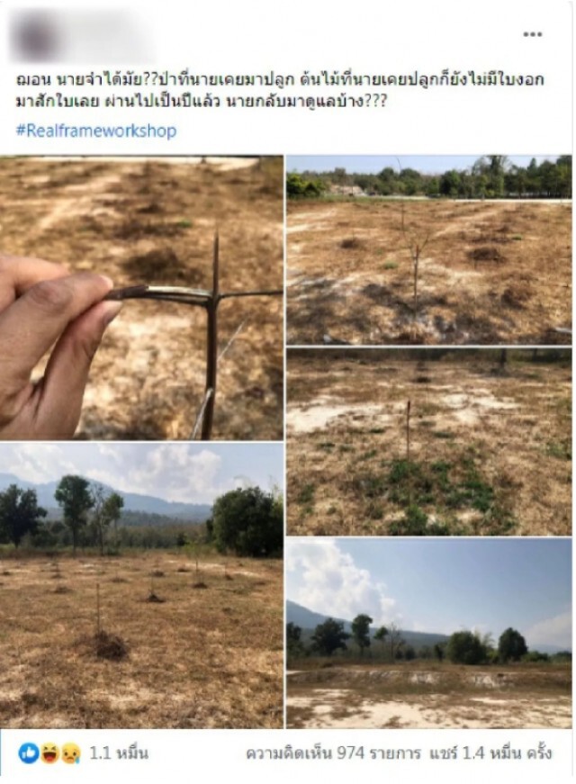 "หนุ่มนิรนาม" เปิดภาพโครงการปลูกป่าที่ "ฌอน บูรณะหิรัญ" ไปล่าสุดตายเรียบ!!