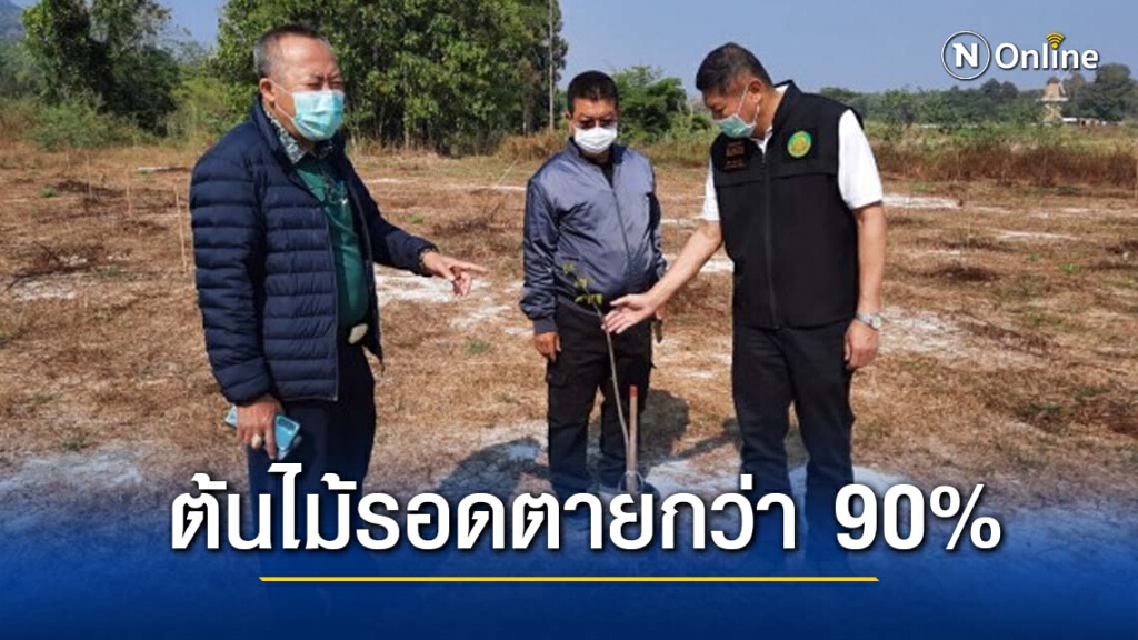 ปม. แจงโครงการปลูกป่าห้วยตึงเฒ่า จ.เชียงใหม่ ต้นไม้รอดตายกว่า 90%