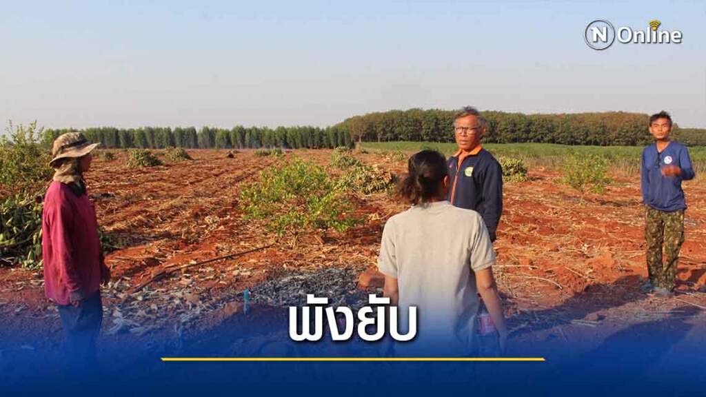 ช้างป่าทับลานพังสวนขนุนชาวบ้าน 300 ต้น เสียหายนับแสน