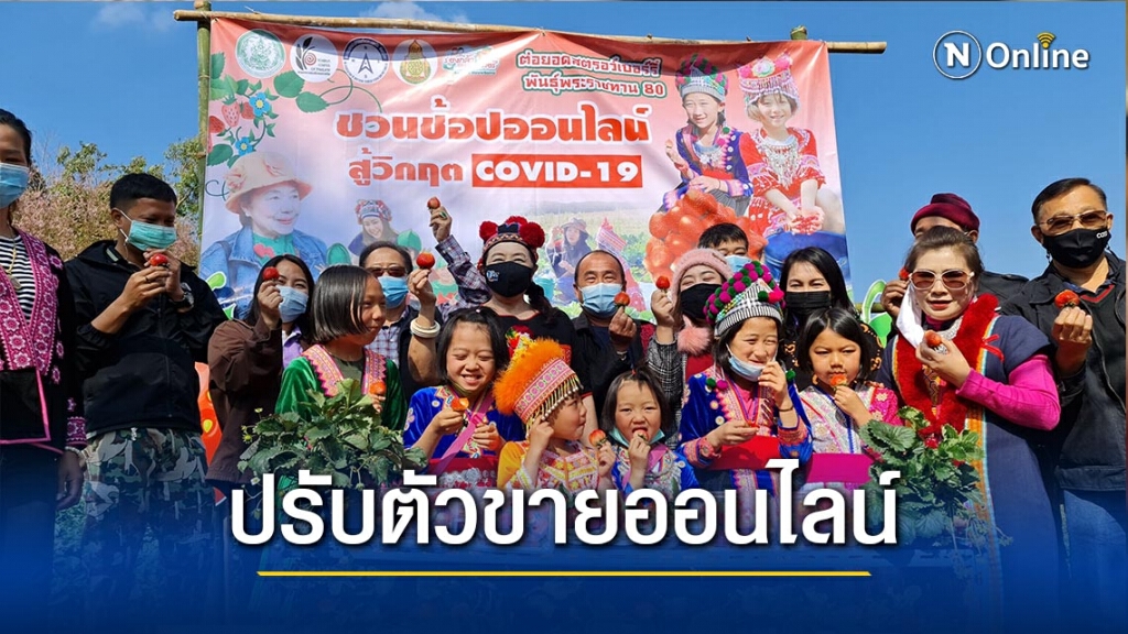 เกษตรกรปลูกสตรอเบอร์รี่-ปรับตัวขายออนไลน์