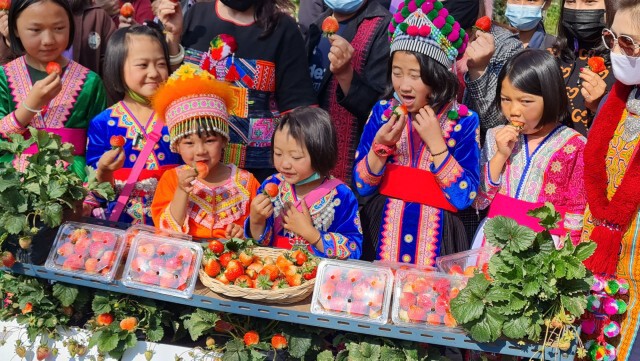 เกษตรกรปลูกสตรอเบอร์รี่-ปรับตัวขายออนไลน์