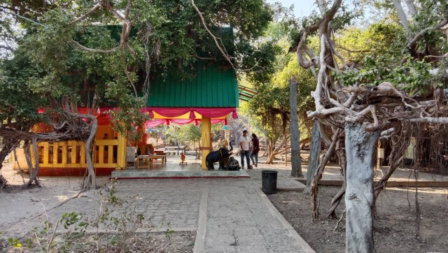อุทยานไทรงามพิมายซบเซาพ่อค้า-แม่ค้าขาดรายได้