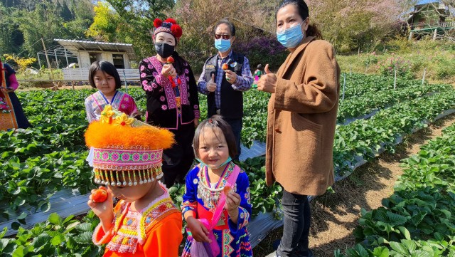 เกษตรกรปลูกสตรอเบอร์รี่-ปรับตัวขายออนไลน์
