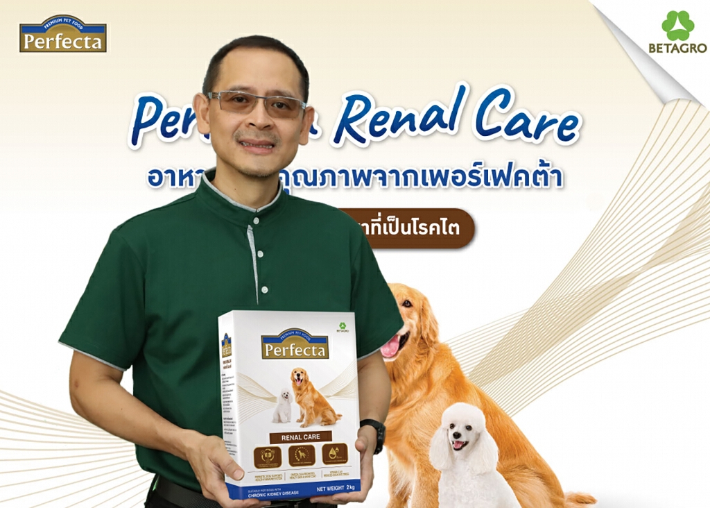 แบรนด์แรกของไทย "เพอร์เฟคต้า รีนอลแคร์" อาหารสุนัขสูตรโรคไต คุณภาพระดับสากล ในราคาที่คุ้มค่า