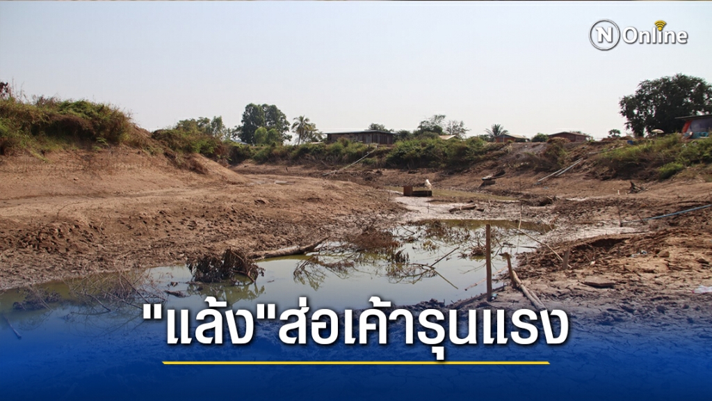 "ภัยแล้ง"เริ่มรุนแรง -แม่น้ำยมสายเก่าแห้งขอด