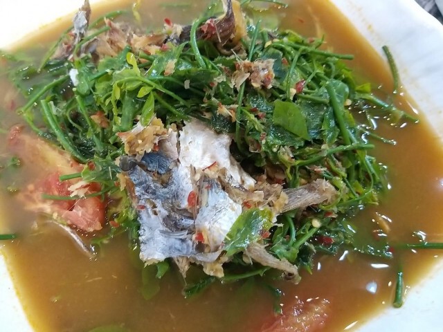 แห่ขาย"ผักหวานปากวัว"สร้างรายได้งาม