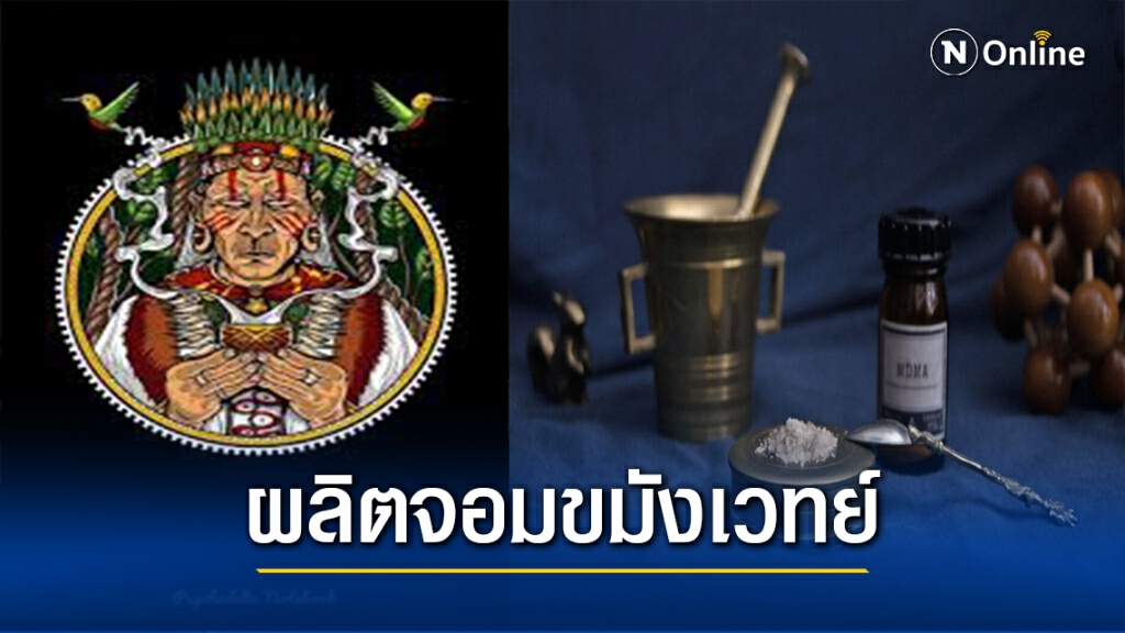 อเมริกาผุดโรงเรียนสอนเชแมนปรุงยาจากเห็ดขี้ควาย