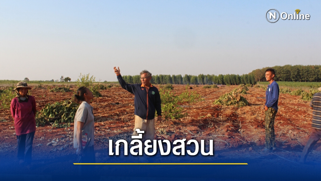 โขลงช้างป่าบุกทำลายต้นขนุนเสียหายหลายไร่ โขลงช้างป่าบุกทำลายต้นขนุนเสียหายหลายไร่