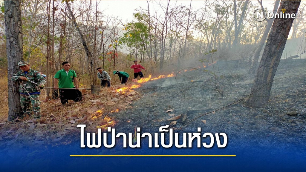 ไฟป่า"ปาย"น่าเป็นห่วง ไฟป่า"ปาย"น่าเป็นห่วง