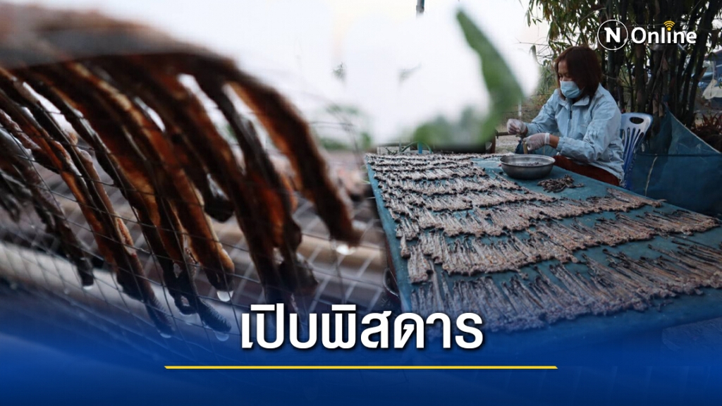 หมู่บ้านสุดแปลก แปรรูปตุ๊กแก ปลิง ไส้เดือนตากแห้ง