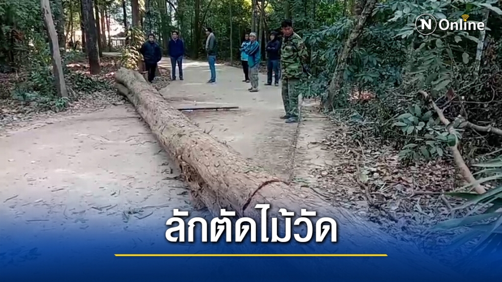 ชาวบ้านนับ100 ล้อมกรอบมอดไม้พะยูงแต่รอดไปได้ ชาวบ้านนับ100 ล้อมกรอบมอดไม้พะยูงแต่รอดไปได้