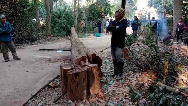ชาวบ้านนับ100 ล้อมกรอบมอดไม้พะยูงแต่รอดไปได้