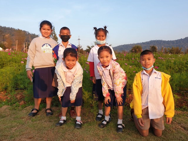 เที่ยวชมทุ่งลาเวนเดอร์ใหญ่สุดวังน้ำเขียว