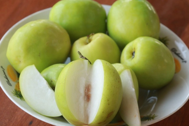 ปลูก"พุทราน้ำอ้อย"สร้างรายได้งาม