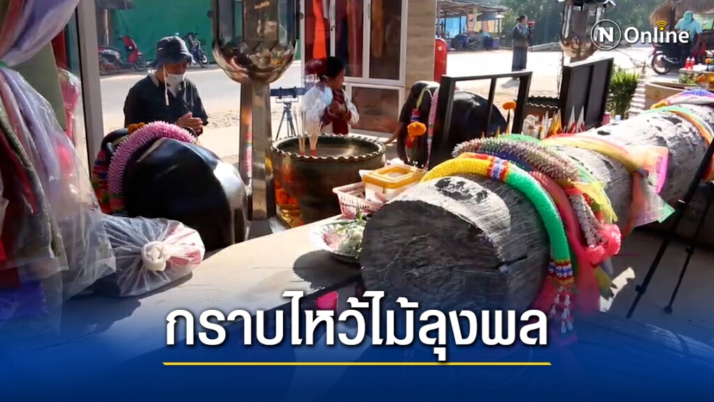 เจ้าหน้าที่ยังไม่ตรวจยึดไม้หวงห้ามหน้าบ้านลุงพล เจ้าหน้าที่ยังไม่ตรวจยึดไม้หวงห้ามหน้าบ้านลุงพล
