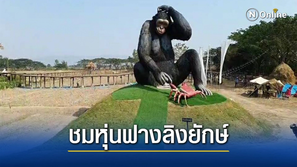 สาวพะเยาเนรมิตรที่นา8ไร่สร้างแลนด์มาร์คท่องเที่ยวใหม่