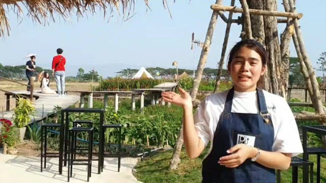 สาวพะเยาเนรมิตรที่นา8ไร่สร้างแลนด์มาร์คท่องเที่ยวใหม่