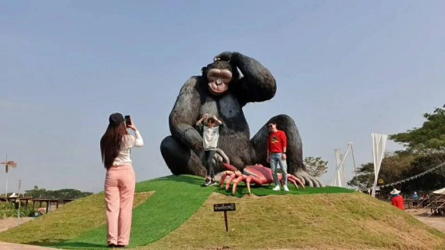 สาวพะเยาเนรมิตรที่นา8ไร่สร้างแลนด์มาร์คท่องเที่ยวใหม่