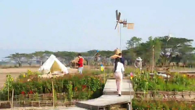 สาวพะเยาเนรมิตรที่นา8ไร่สร้างแลนด์มาร์คท่องเที่ยวใหม่