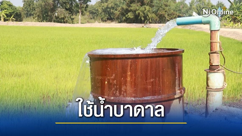 แม่น้ำยมแห้ง-หันใช้น้ำใต้ดินเลี้ยงนาข้าว