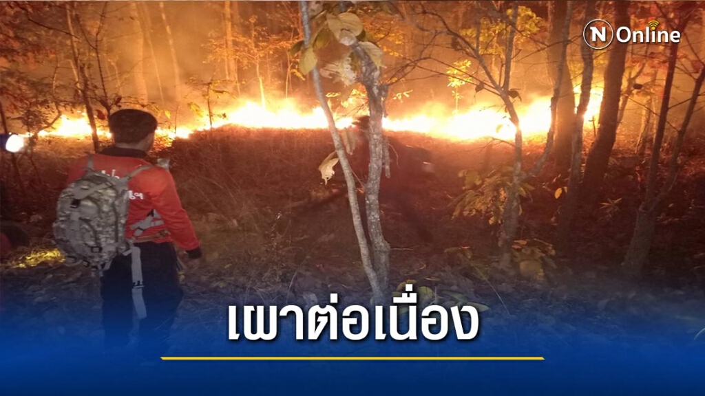 เข้มผู้ลอบเผาป่า "เมืองปาย"