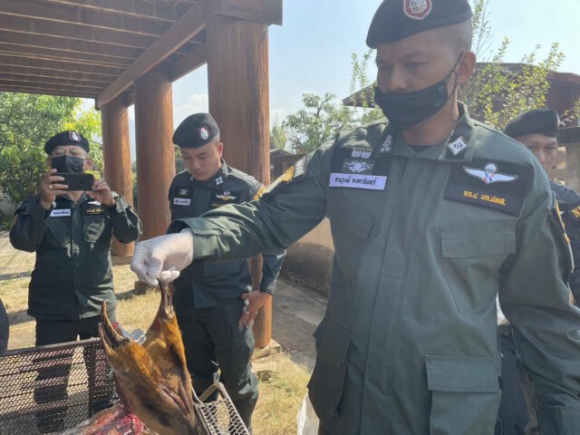 รวบ"เจ๊ณี"ค้าซากสัตว์ป่าคุ้มครอง
