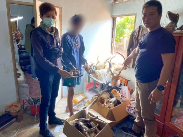 "พญาเสือ"ล่อซื้อซากสัตว์ป่า​ ประกาศขายผ่านเฟซบุ๊ก