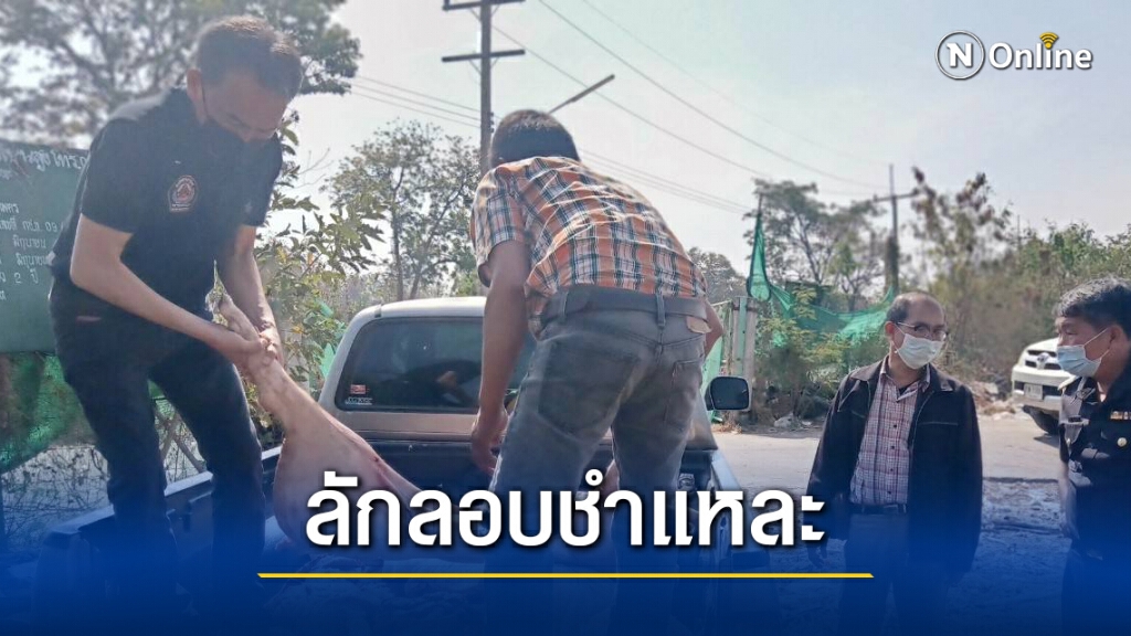ปศุสัตว์บุกทลายเขียงหมูเถื่อนเสี่ยงแพร่เชื้อโรค ปศุสัตว์บุกทลายเขียงหมูเถื่อนเสี่ยงแพร่เชื้อโรค