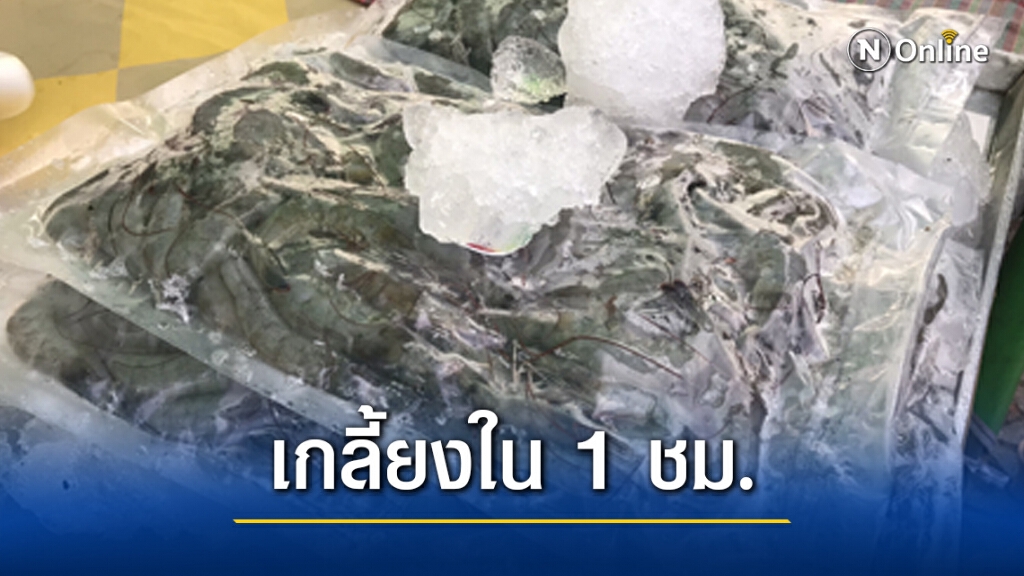 เกษตรกรขายกุ้งสู้วิกฤตโควิด-19 กว่า 300 กก.เกลี้ยงใน 1 ชม.