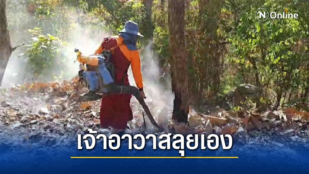 เจ้าอาวาสแบกเครื่องเป่าลมทำแนวกันไฟป่า เจ้าอาวาสแบกเครื่องเป่าลมทำแนวกันไฟป่า